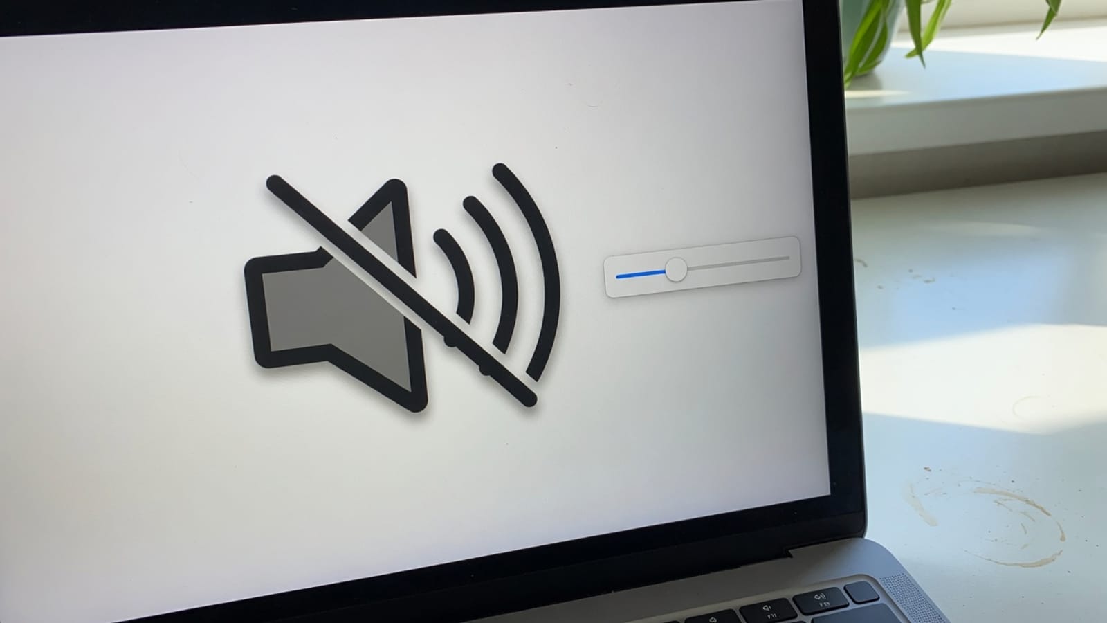 Choosing settings to mute video on this device